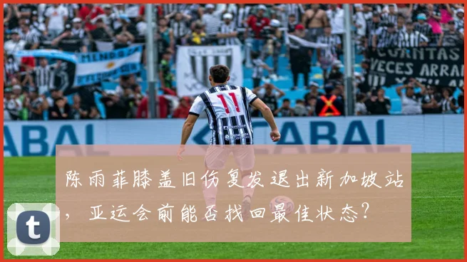 陈雨菲膝盖旧伤复发退出新加坡站,亚运会前能否找回最佳状态?